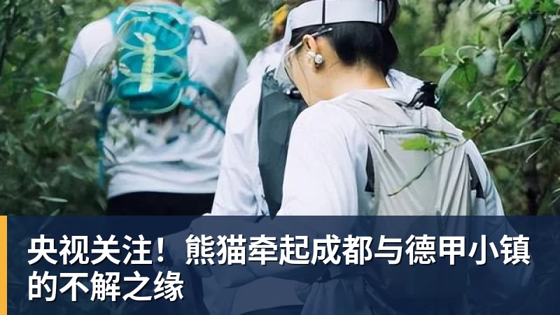 欧冠36强出炉:西甲英超各5队 法甲荷甲各3队 挪威也有2队 - 好博·体育 - 好博(中国)一站式服务官方网站